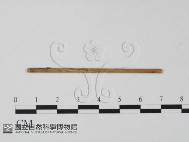 登錄號:F0011539藏品圖，第3張