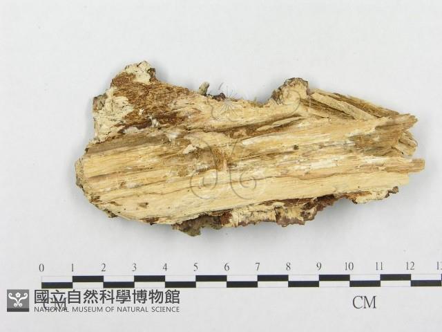 登錄號:F0008139藏品圖，第3張