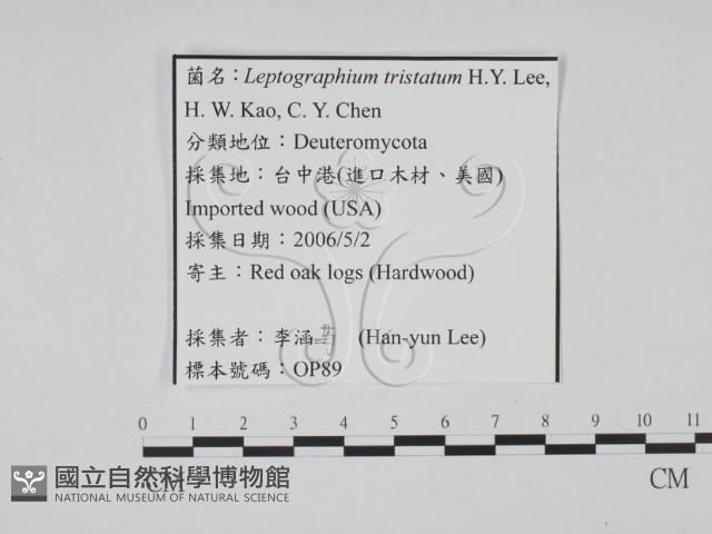 登錄號:F0022139藏品圖，第3張