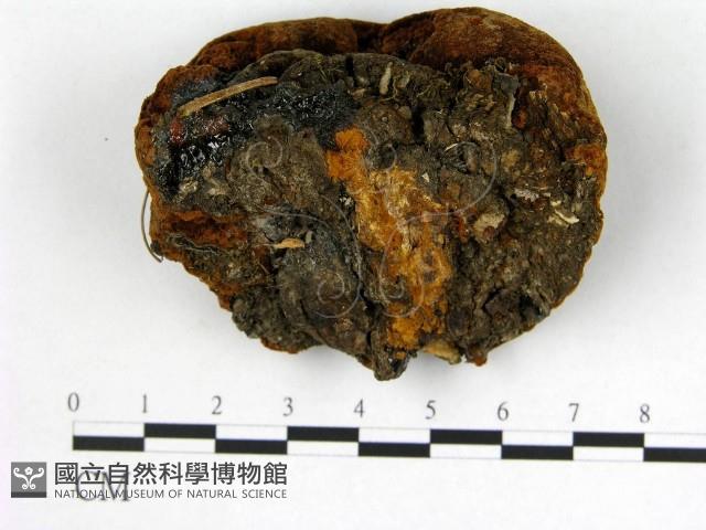 登錄號:F0006279藏品圖，第3張