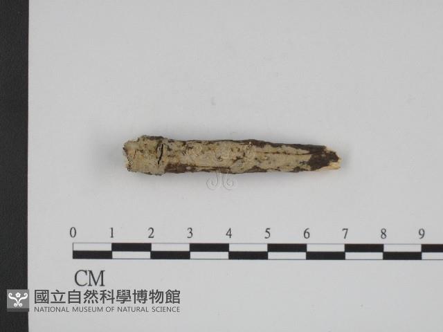登錄號:F0004279藏品圖，第3張