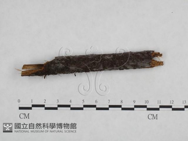 登錄號:F0024879藏品圖，第3張