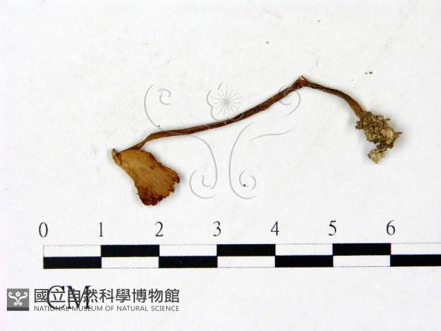 登錄號:F0022879藏品圖，第3張