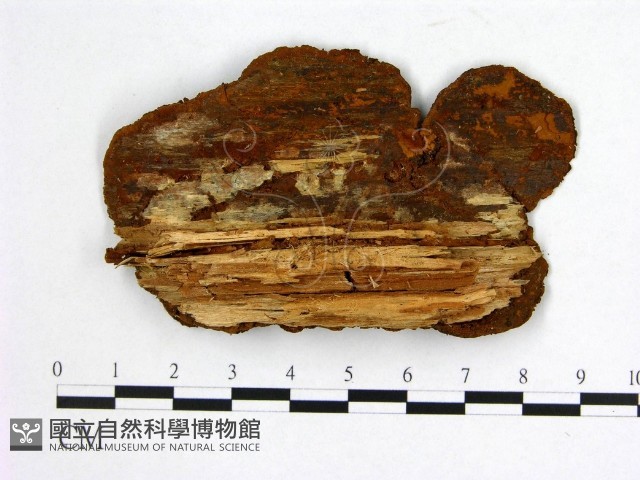 登錄號:F0005879藏品圖，第3張