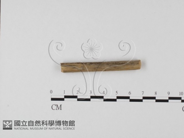 登錄號:F0002979藏品圖，第3張