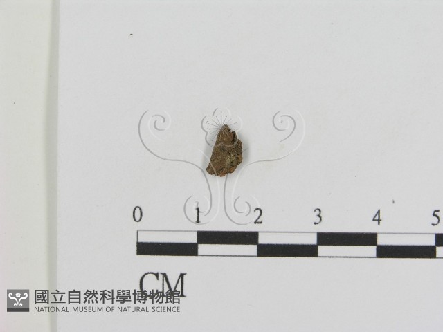 登錄號:F0008479藏品圖，第3張