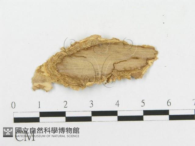 登錄號:F0020479藏品圖，第3張