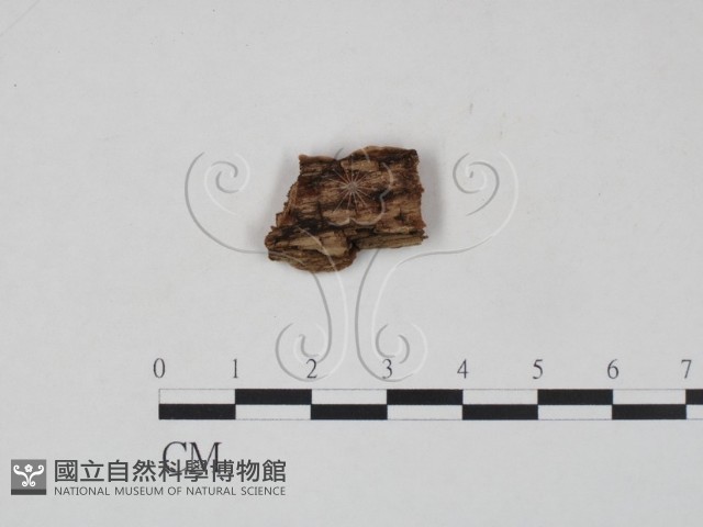 登錄號:F0006479藏品圖，第3張