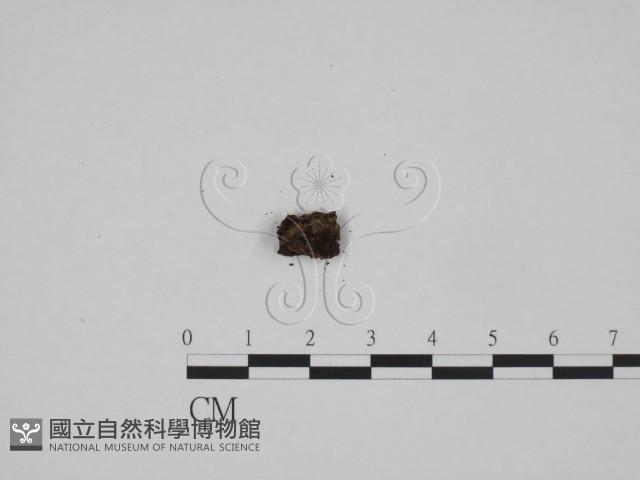 登錄號:F0001779藏品圖，第3張