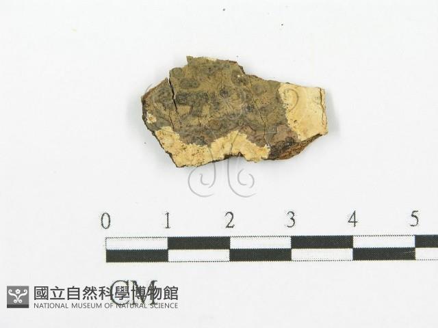 登錄號:F0002779藏品圖，第1張