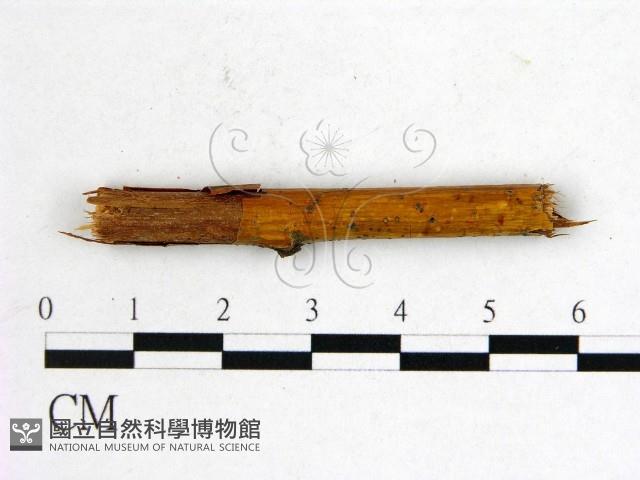 登錄號:F0011579藏品圖，第3張