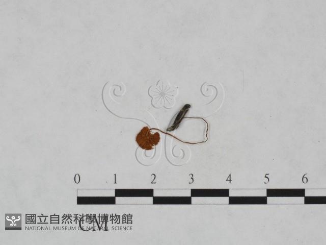 登錄號:F0023579藏品圖，第3張