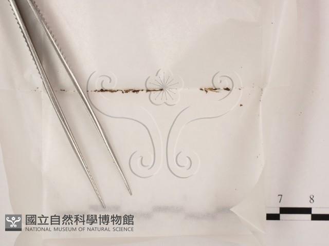 登錄號:F0000179藏品圖，第3張