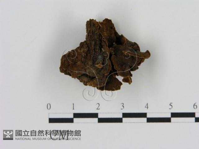 登錄號:F0007179藏品圖，第3張