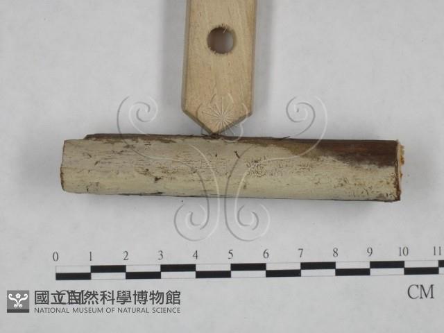 登錄號:F0025179藏品圖，第3張