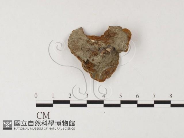 登錄號:F0026079藏品圖，第3張