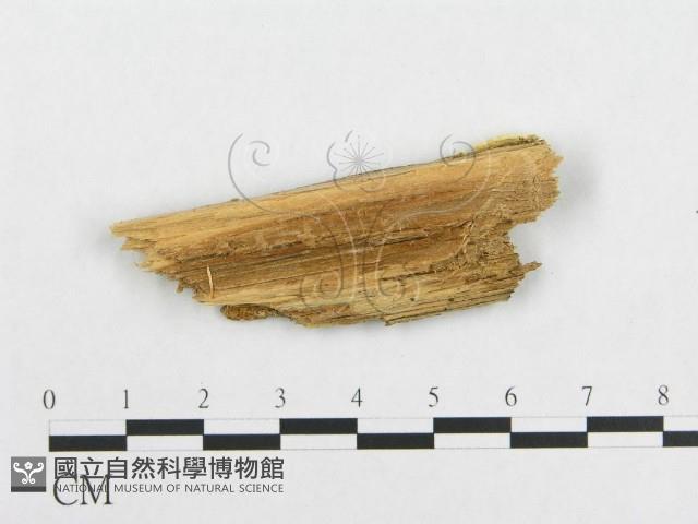 Accession Number:F0014079 Collection Image, Figure 3, Total 3 Figures