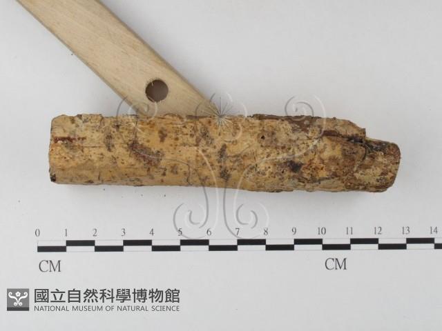 登錄號:F0020379藏品圖，第3張