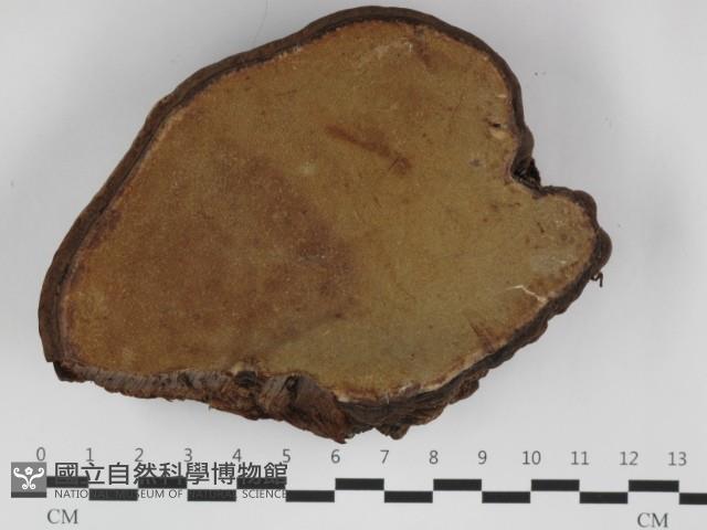 登錄號:F0032379藏品圖，第3張