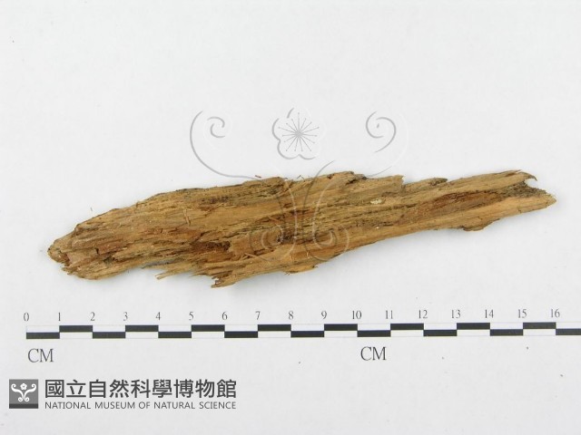 登錄號:F0008263藏品圖，第3張