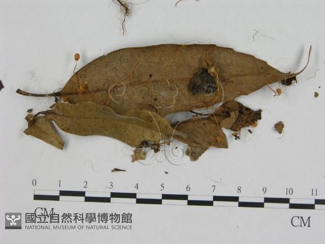 登錄號:F0003263藏品圖，第3張