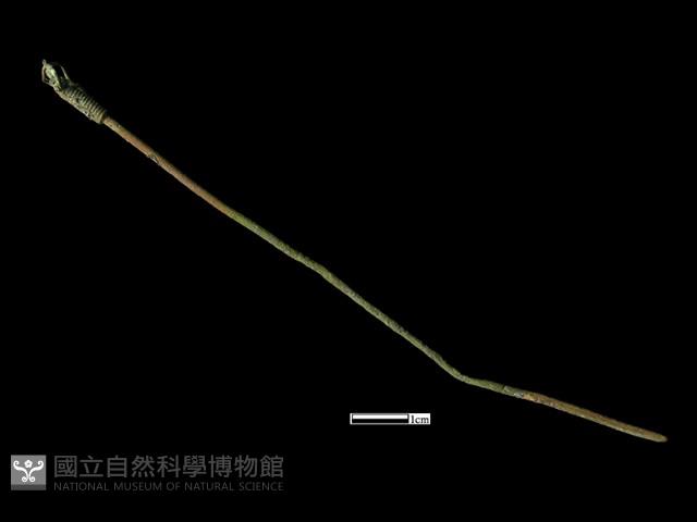 髮簪藏品圖，第3張