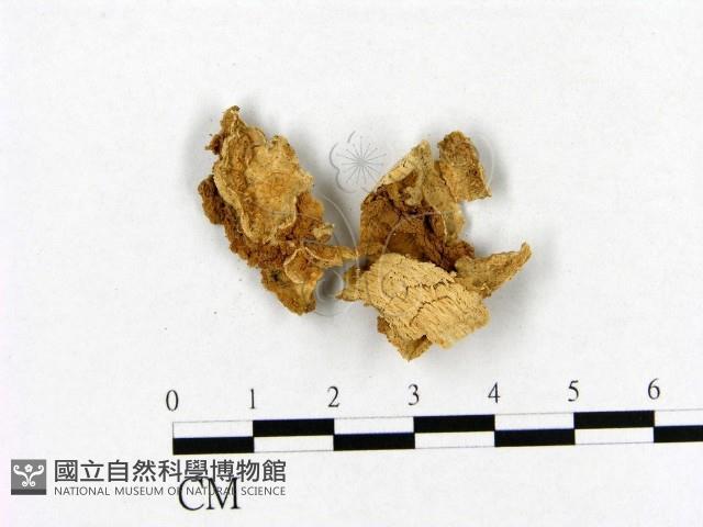 登錄號:F0020863藏品圖，第3張