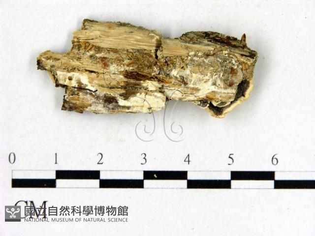 登錄號:F0006863藏品圖，第3張