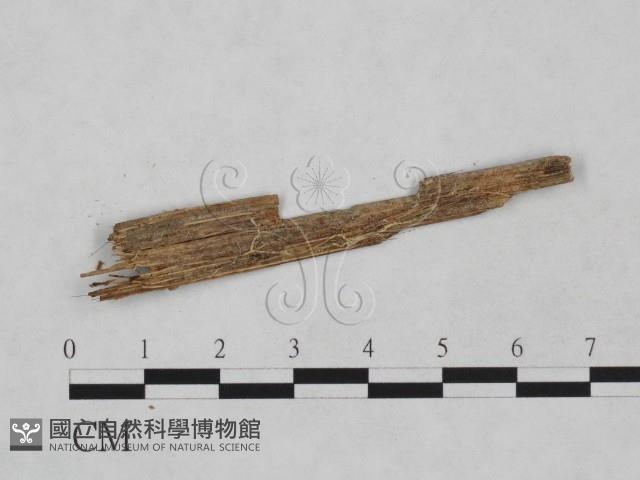 館號:F0024863藏品圖，第3張