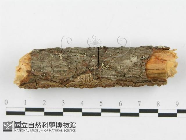 登錄號:F0014863藏品圖，第3張