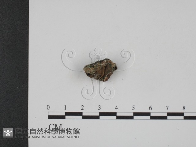 登錄號:F0008963藏品圖，第3張