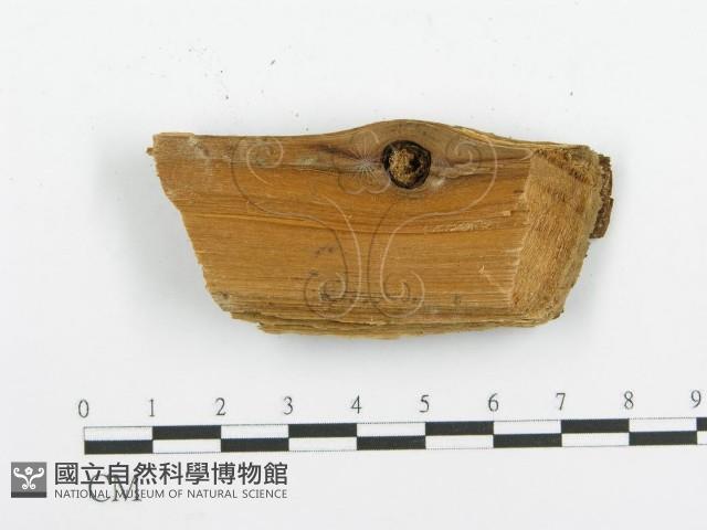 登錄號:F0000963藏品圖，第3張