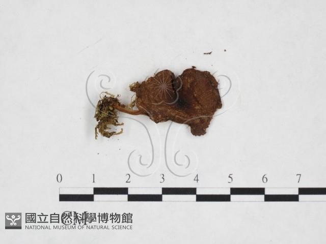 登錄號:F0025963藏品圖，第3張