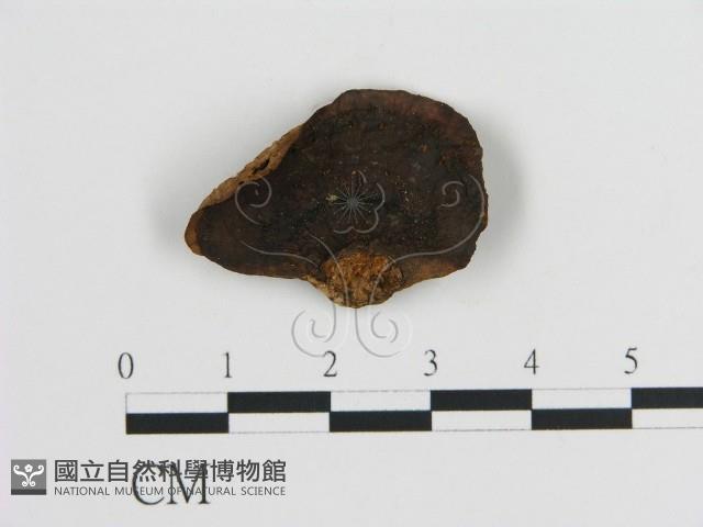 登錄號:F0016463藏品圖，第3張