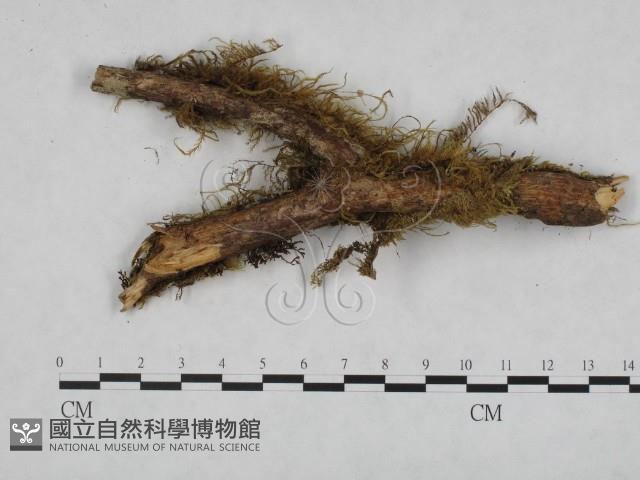 登錄號:F0024763藏品圖，第3張