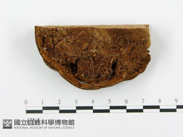 Accession Number:F0005763 Collection Image, Figure 3, Total 5 Figures