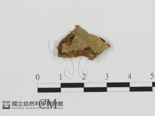 登錄號:F0009763藏品圖，第3張