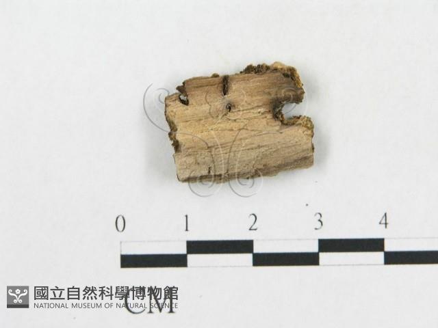 登錄號:F0006563藏品圖，第3張