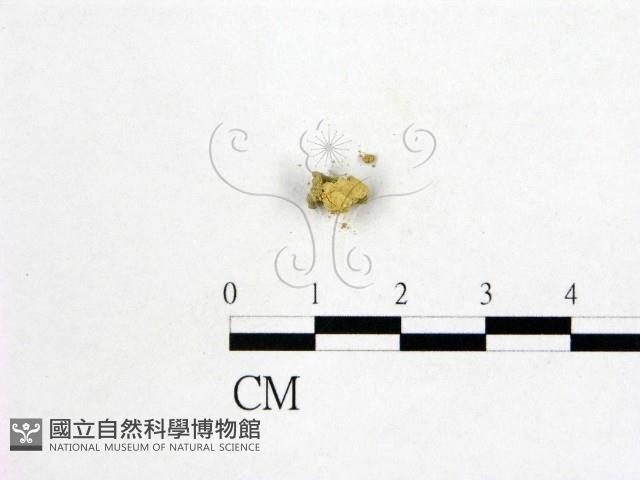 登錄號:F0004563藏品圖，第3張