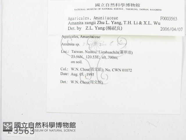 登錄號:F0003563藏品圖，第4張