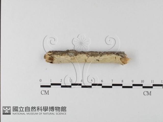 登錄號:F0020163藏品圖，第3張