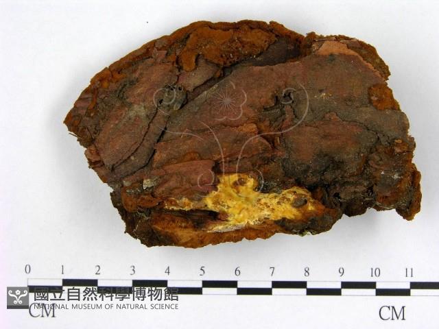 登錄號:F0006163藏品圖，第3張