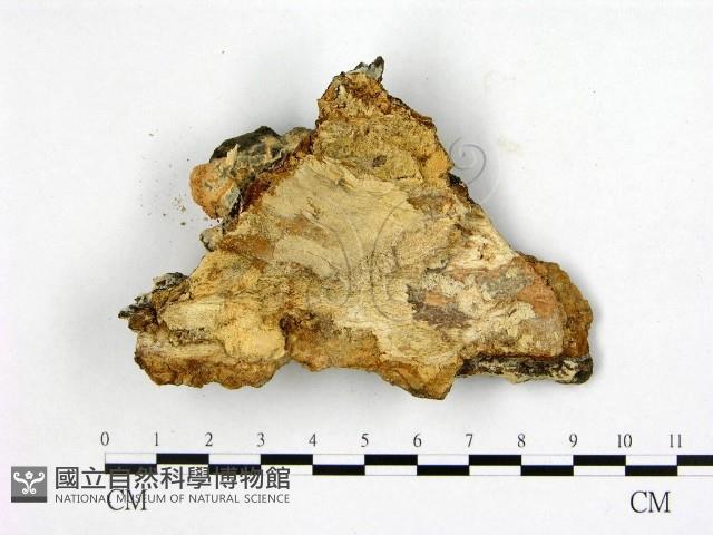 登錄號:F0022163藏品圖，第3張