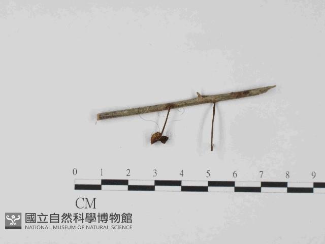 登錄號:F0024063藏品圖，第3張