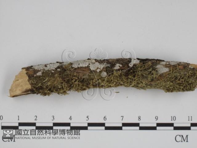 登錄號:F0001363藏品圖，第3張