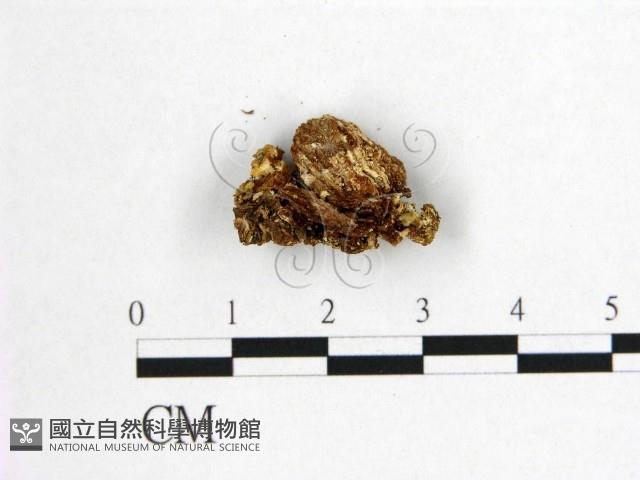 登錄號:F0011363藏品圖，第3張
