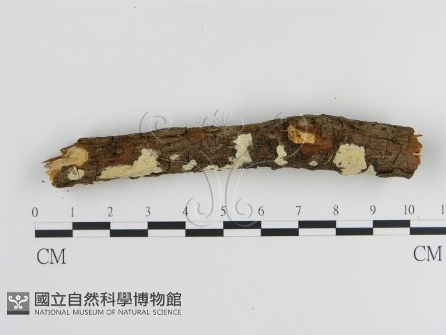 登錄號:F0000223藏品圖，第3張