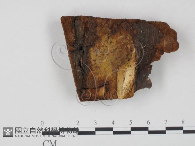 登錄號:F0006223藏品圖，第3張