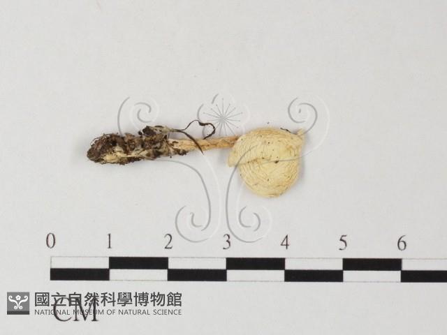 登錄號:F0016223藏品圖，第3張
