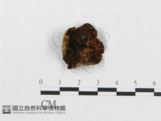 登錄號:F0007223藏品圖，第3張